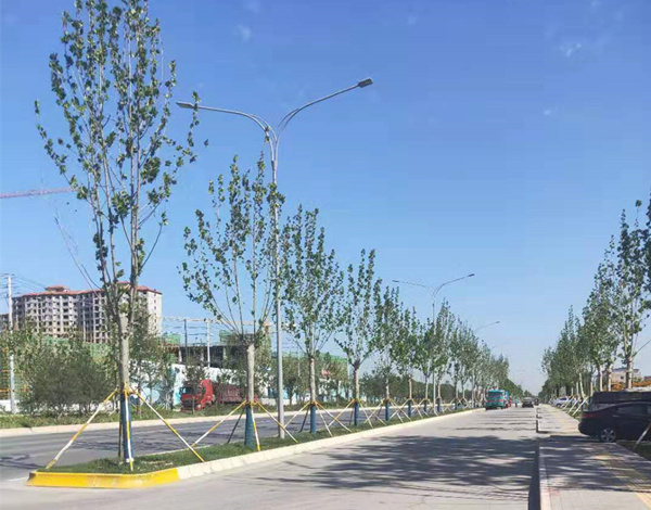 新城區道路(lù)照(zhào)明(míng)項目