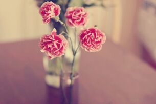 關于延長2018年度陝西(xī)省二級建造師(shī)報名繳費時間的(de)通知